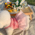 Kawaii Princess Style Aesthetic Rosette Tulle Dog Dress for Small to Medium Dogs