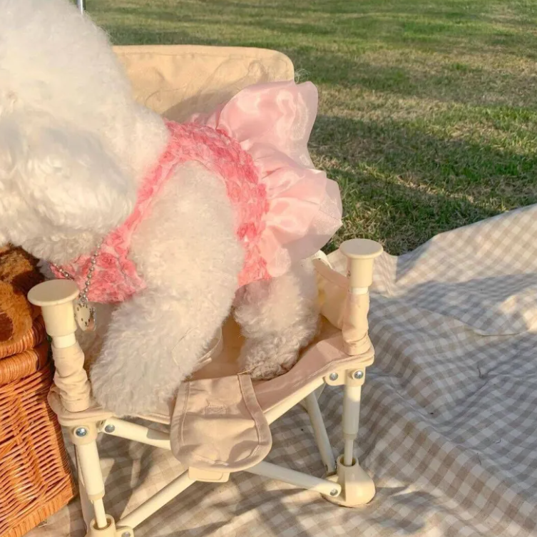 Kawaii Princess Style Aesthetic Rosette Tulle Dog Dress for Small to Medium Dogs