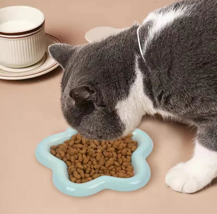 Whimsical Cute Dreamy Aesthetic Star Shaped Cat Bowl